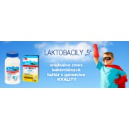 laktobacily